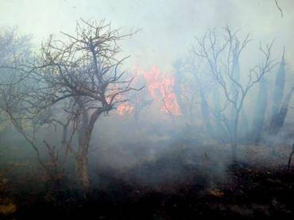 Devastador incendio forestal en Villaguay
