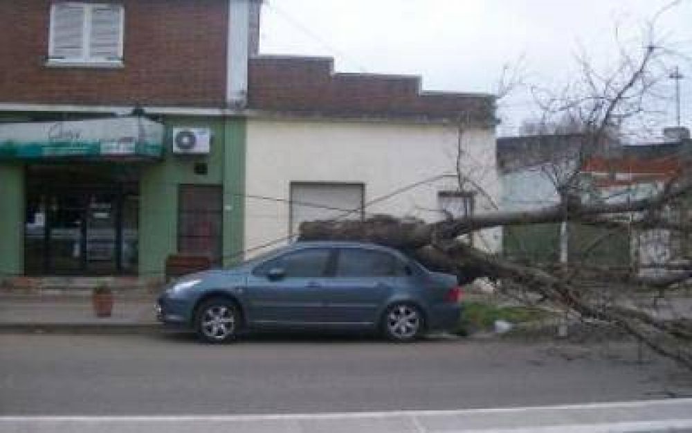 Alerta meteorol�gico y graves da�os por las fuertes r�fagas de viento