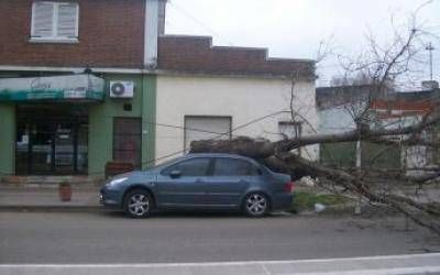 Alerta meteorol�gico y graves da�os por las fuertes r�fagas de viento