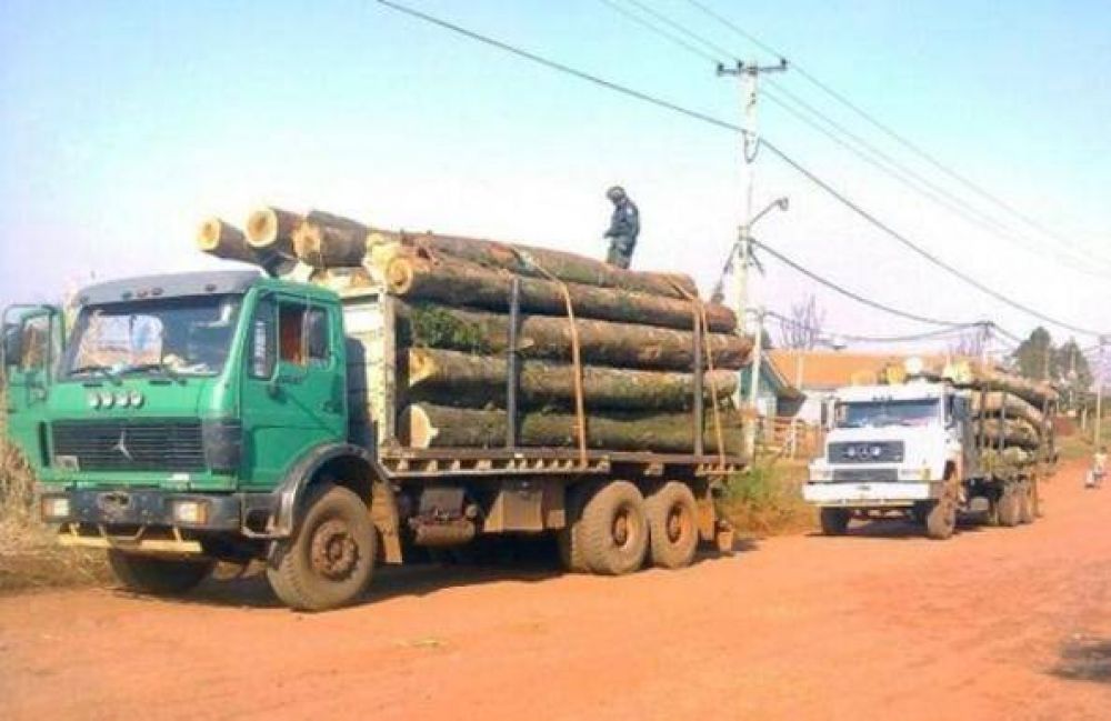 Ecolog�a detect� numerosas infracciones a leyes ambientales