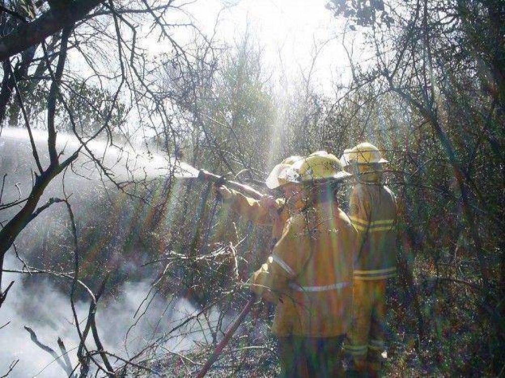 Cuatro dotaciones controlaron un incendio forestal en Cosqu�n