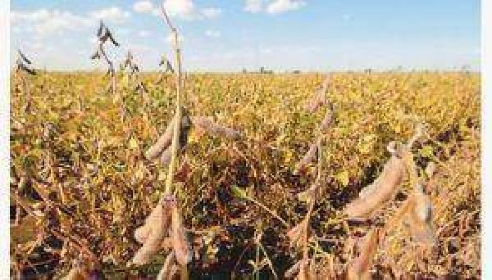 Sequ�a en Salta: �El Gobierno nos devolvi� menos del 10% de lo que pagamos en retenciones�