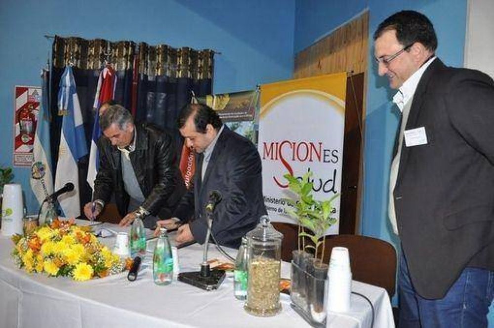 Cient�ficos destacan propiedades de la yerba mate para proteger la salud 