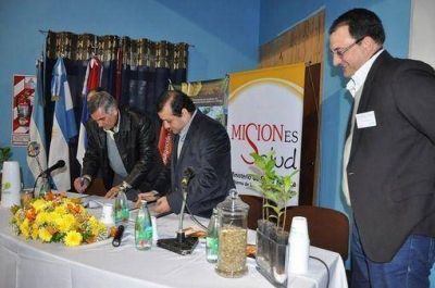 Cient�ficos destacan propiedades de la yerba mate para proteger la salud 