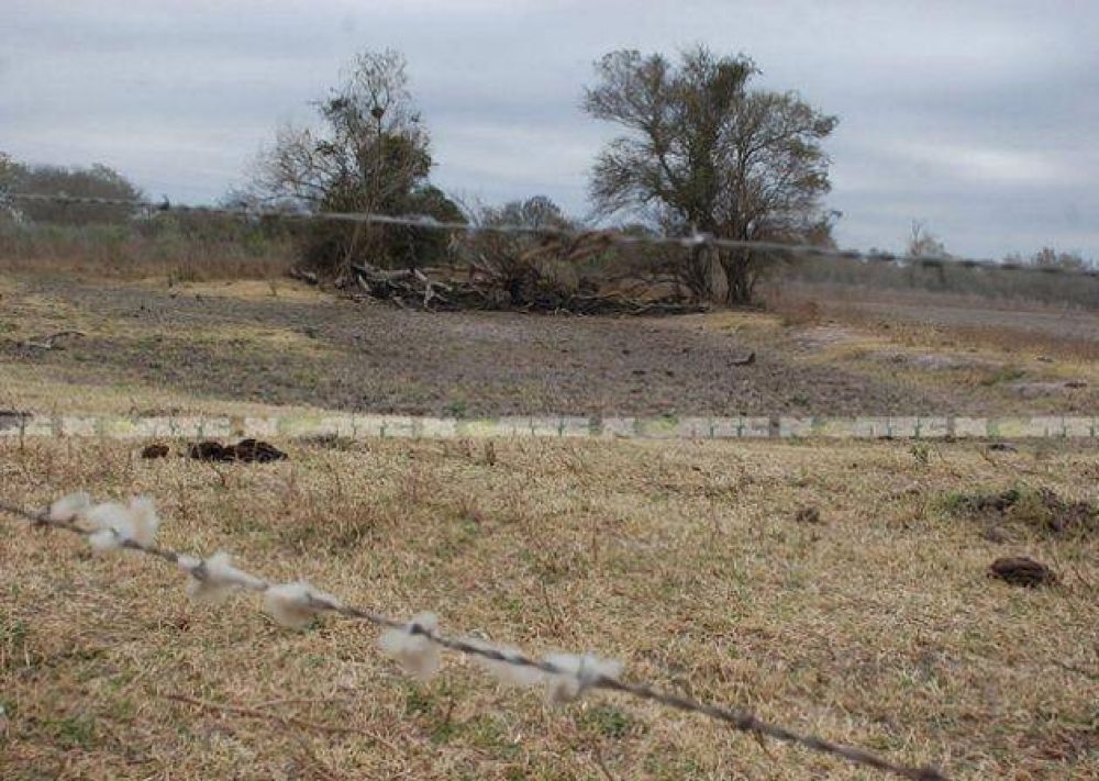 La sequ�a pone en jaque a los peque�os productores del interior chaque�o