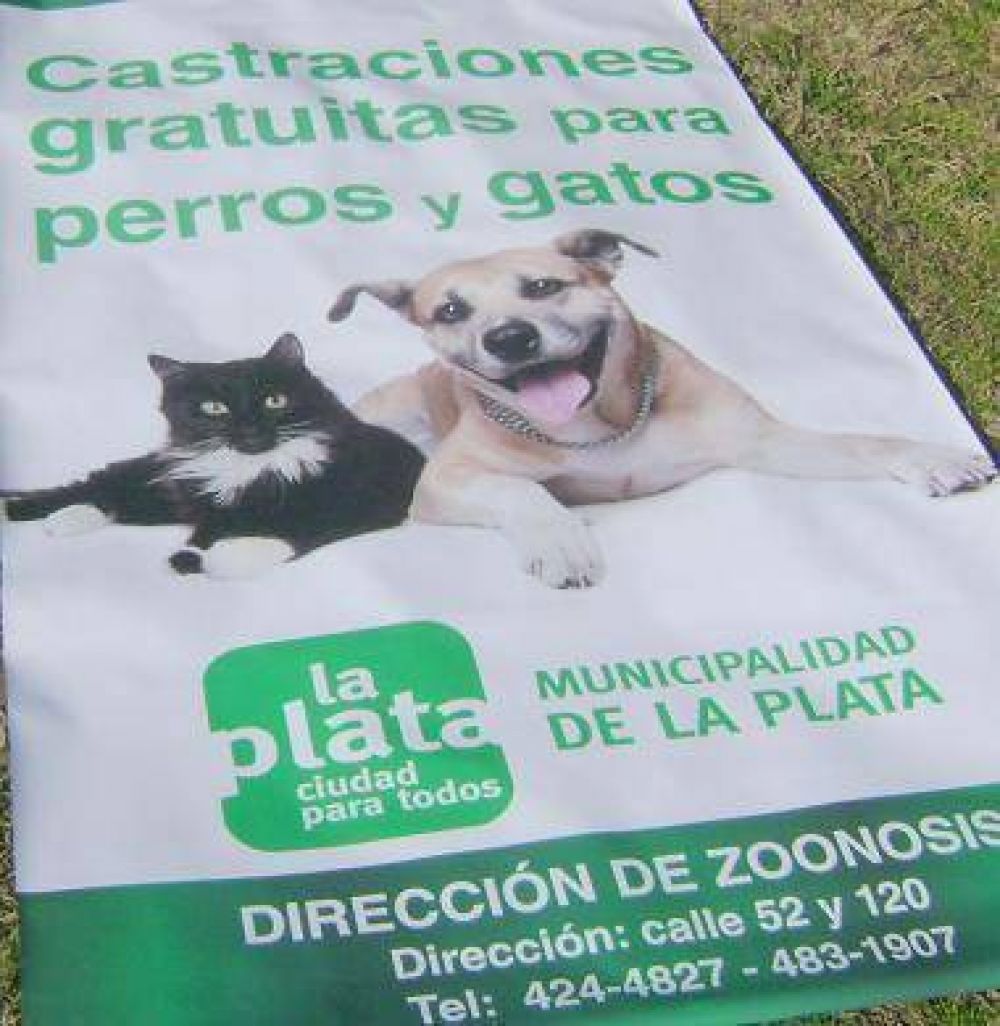 La Plata: La comuna contin�a con la castraci�n y vacunaci�n de perros y gatos en distintos barrios de la Ciudad