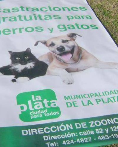 La Plata: La comuna contin�a con la castraci�n y vacunaci�n de perros y gatos en distintos barrios de la Ciudad