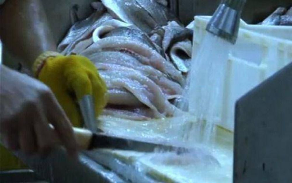 Diez empresas adeudan salarios a fileteros