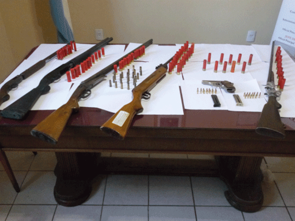 Secuestran un arsenal en la zona rural de Suipacha 