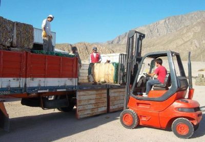 Medio Ambiente: realizar�n la octava venta de materiales recuperados