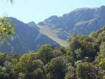 El cad�ver hallado en el cerro de Salta habr�a sido descuartizado por animales y no presentar�a signos de violencia