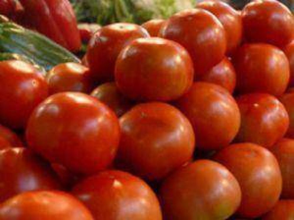Contin�a la escalada del precio del tomate