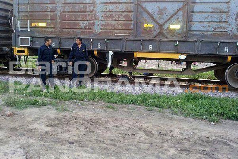 Se durmi� sobre las v�as y lo mat� un tren en Fern�ndez