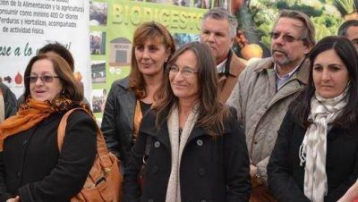 Paz y amor hasta octubre