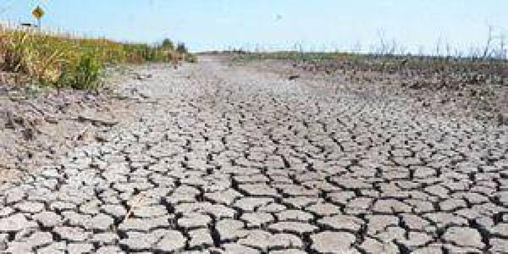 Millonarias p�rdidas de productores por la sequ�a