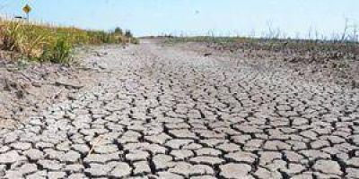 Millonarias p�rdidas de productores por la sequ�a