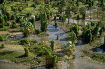 Informe mundial ubica a Formosa dentro de los m�s ricos en ecosistemas y reservas