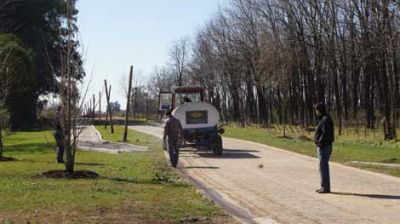 Avanzan en la construcci�n de un circuito peatonal en la Diagonal Santilli 