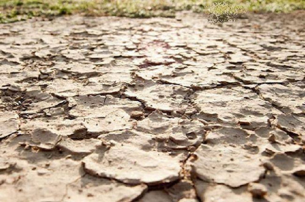 Sequ�a en El Impenetrable: �Estamos ante una situaci�n muy dif�cil y complicada�