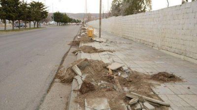 Comenz� el traslado de los �rboles podados en el Liceo