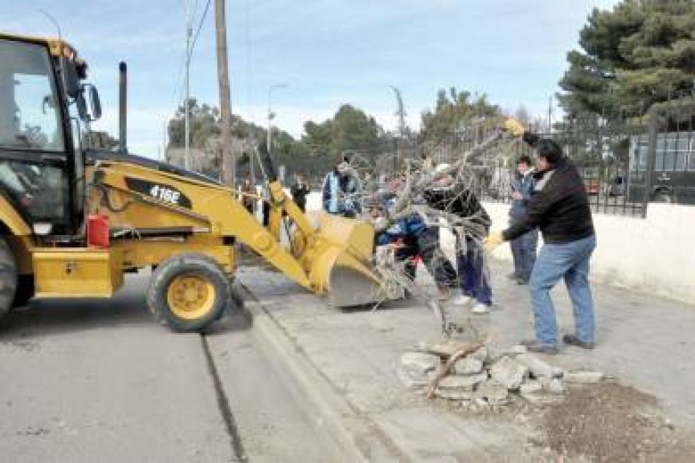 Comenz� la extracci�n de �rboles en el Liceo pero sigue la disconformidad de los vecinos