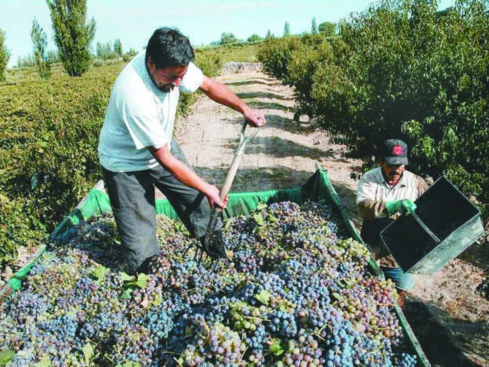 Afirmaron que el 75% del despacho de vinos es para el mercado interno