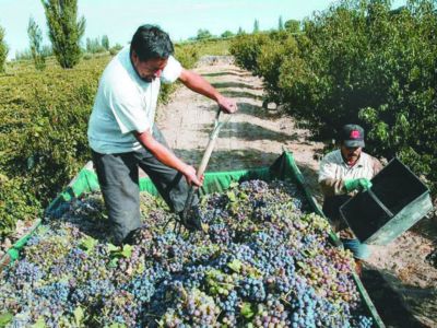 Afirmaron que el 75% del despacho de vinos es para el mercado interno