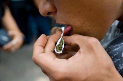 Confirman el crecimiento de las drogas en las f�bricas
