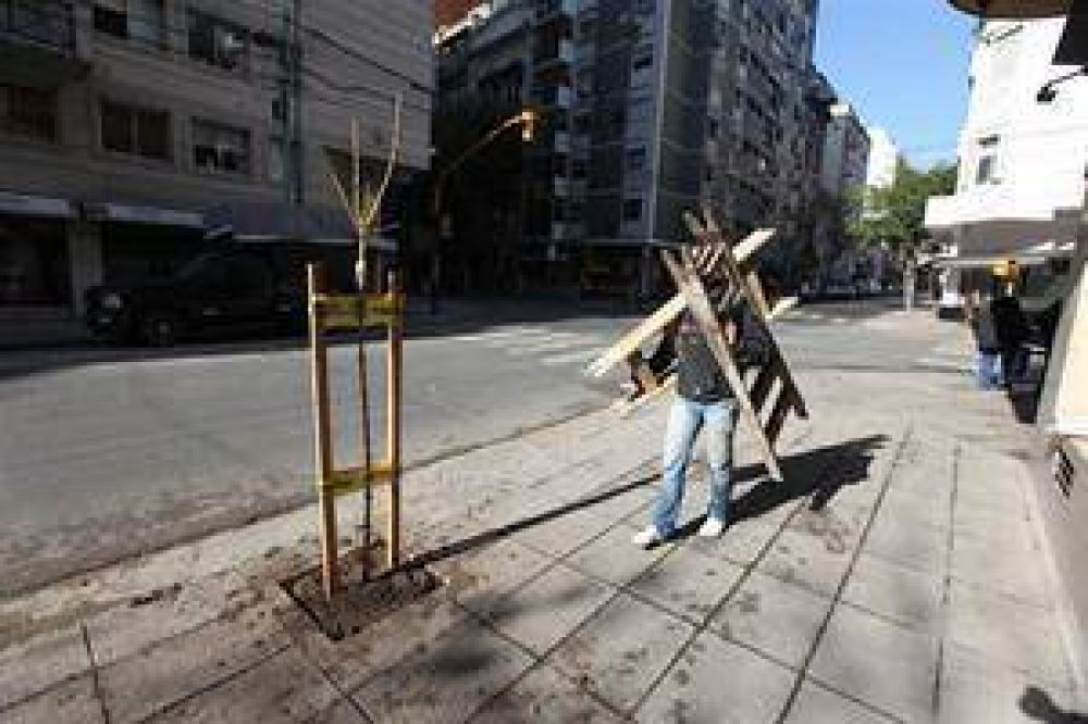 Plantar�n 70.000 nuevos �rboles en los pr�ximos diez a�os en la Capital