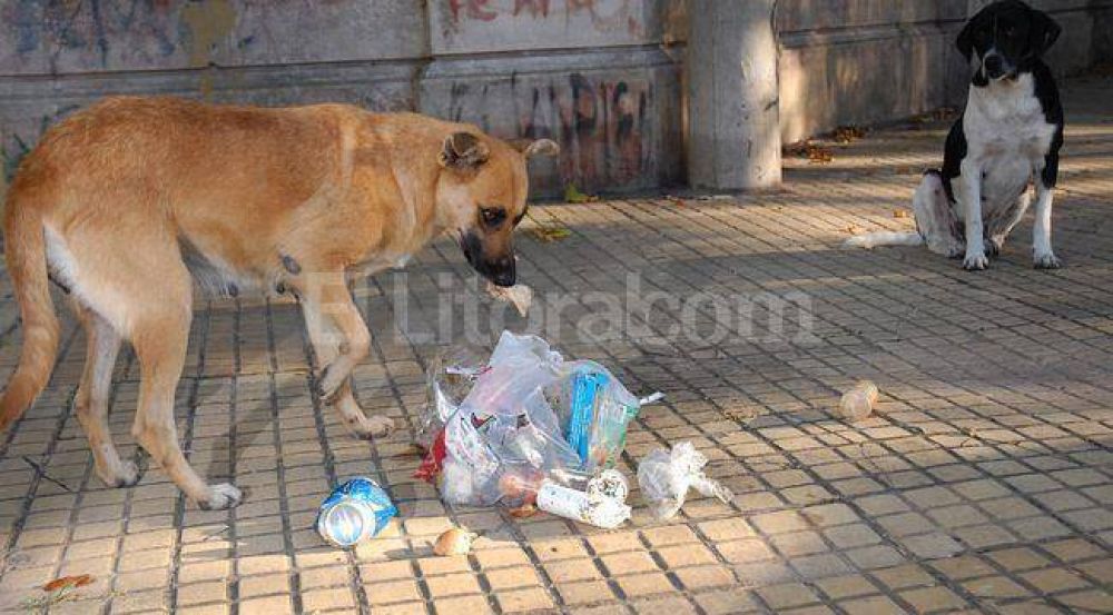 Urbafe no realiza la recolecci�n diurna de residuos en la ciudad