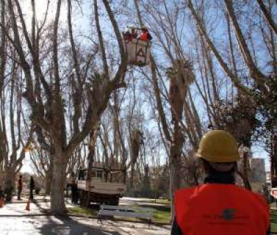 Salen a rescatar la plaza Laprida, la m�s arruinada