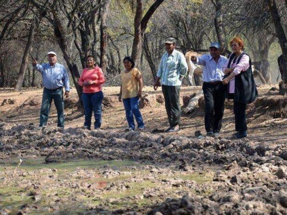 Por la sequ�a muri� el 30% de los animales en el Norte