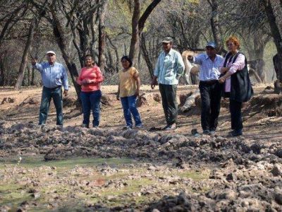 Por la sequ�a muri� el 30% de los animales en el Norte