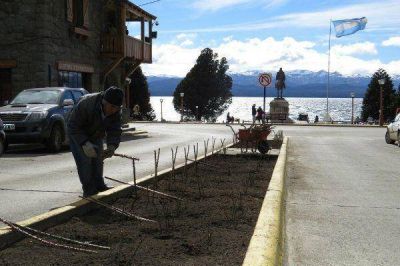 Vecinos y municipio embellecen el Boulevard Independencia