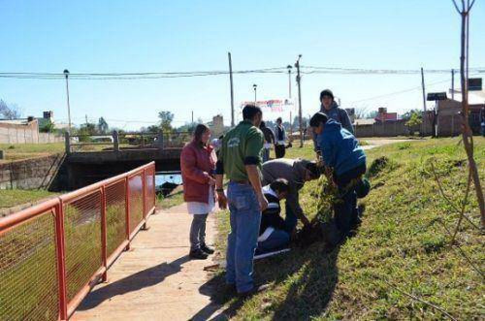 En la Semana del �rbol, plantan ejemplares en la ciudad