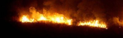 Incendio en la Reserva