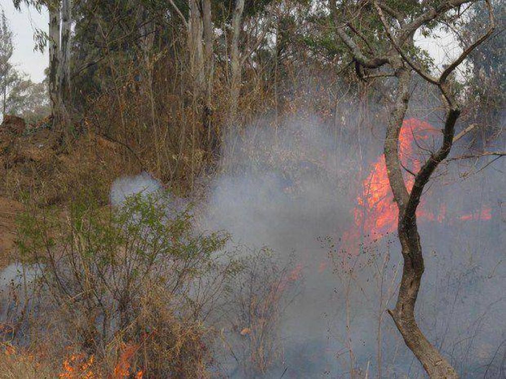 Contin�an los incendios forestales