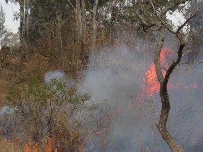 Contin�an los incendios forestales