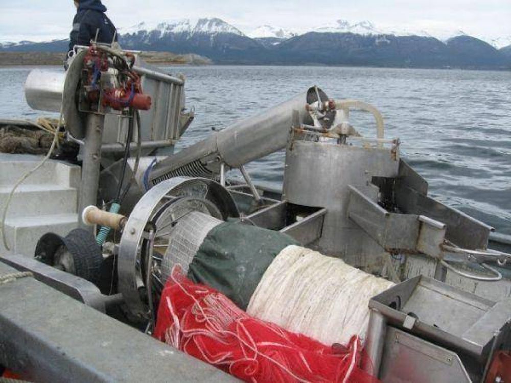 Tras p�rdidas millonarias, se va de Tierra del Fuego una empresa pesquera