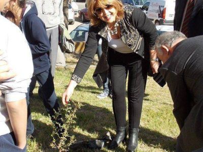 Impulsar�n ley para incluir la forestaci�n en los barrios nuevos