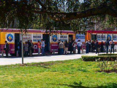 Desde este viernes podr� cargarse la Red Bus en dos micros que saldr�n a recorrer municipios de la provincia