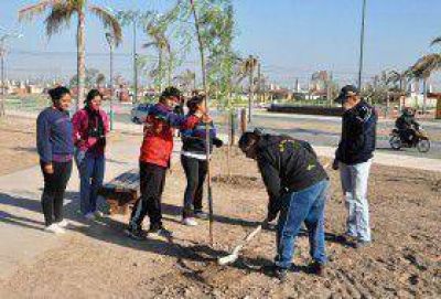 Se plantaron 100 especies arb�reas