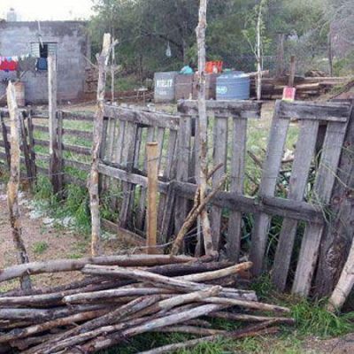 Luna Corzo destac� los bajos �ndices del mal Chagas en Los Llanos