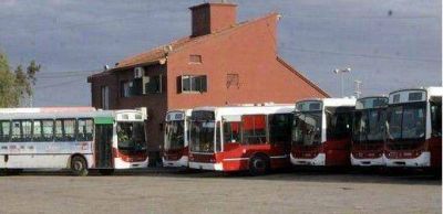 Comienzan a funcionar las nuevas unidades del transporte urbano