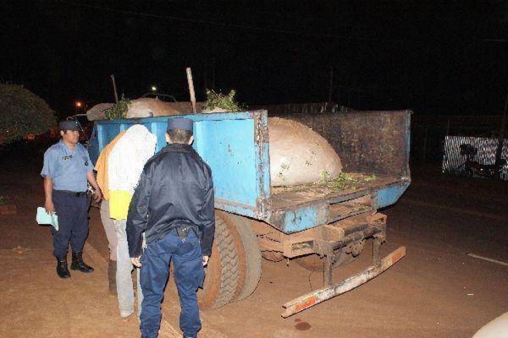 Dos detenidos por robar 400 kilos de yerba mate en Ober�