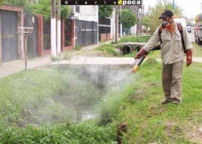 Un nuevo brote de dengue podr�a causar v�ctimas fatales