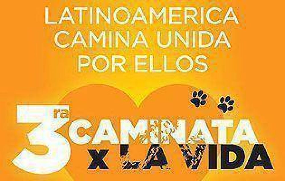 Se viene una nueva �Caminata por la Vida� de El Campito