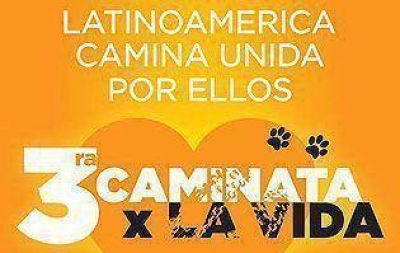Se viene una nueva �Caminata por la Vida� de El Campito