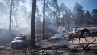 Pese al calor, se pudieron controlar los focos de incendio