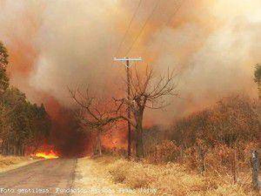 Incendios forestales en Jujuy: se agrava la situaci�n en Forestal, Higuerillas y en La Lucrecia